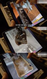 아이스커피 마시면 배 아팠던 이유?.. 카페 제빙기에 곰팡이 '경악'