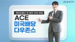 “나흘 빼고 다 샀다”···개인 매수 버튼 누르게 한 ACE ETF는