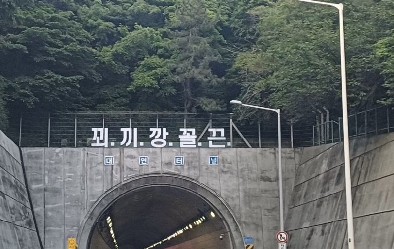 [서울&#x3D;뉴시스] 부산 도시고속도로 대연터널 위에 &#39;꾀끼깡꼴끈&#39;이란 문구가 등장했다. (출처&#x3D;온라인 커뮤니티) *재판매 및 DB 금지 &#x2F;사진&#x3D;뉴시스