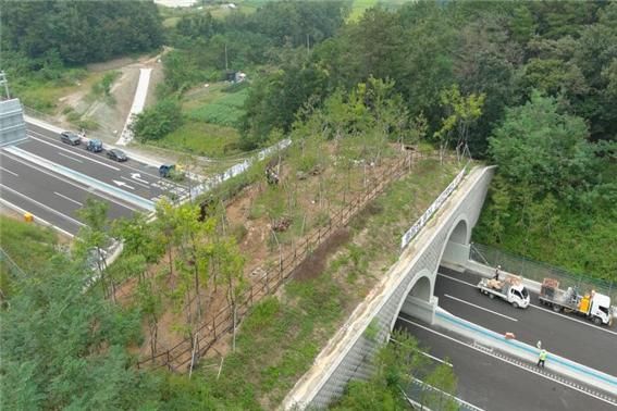 당진-청주고속도로에 설치된 육교형 생태통로 전경. 한국도로공사 제공 
