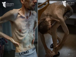 "나치 수용소 연상돼"..2년만에 돌아온 우크라 전쟁 포로, 뼈만 앙상하게 남아