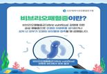 인천 바닷물서 올해 첫 비브리오패혈균 검출