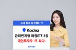 KODEX 금리연계형 파킹ETF 3종, 개인 투자자 1조 매수...왜?