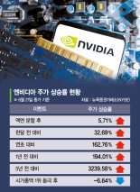 美 시총 1위 찍고 이틀 연속 하락세… '거품론''상승론' 갑론을박[글로벌 리포트]