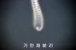 북한 “다탄두미사일 시험 성공”..합참 ‘실패 분석’에 반박