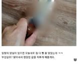 르노코리아 '집게손' 직원 살인 예고글 등장... "적당한 값 치르게 해줄게요"