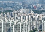 "경매로 내집마련" 강남보다 마용성 몰린다