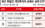 개미들 '코스피 하락·S&P 상승' 베팅