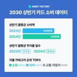 "2030 카드지출 월평균 120만원...쇼핑 가장 많이 했네"