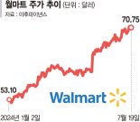 빅테크 주가 흔들릴때 더 빛났다 월마트 조용한 사상 최고가 행진[이 종목은 왜?]