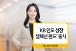 인도 뜬다는데, 어느 산업에 투자?···KB운용이 내놓은 답