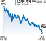 LG화학·인텔 ELS '원금손실 공포'