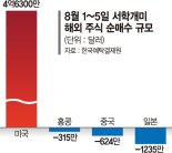 서학개미, 폭풍우 몰아쳐도 미국주식 '줍줍'