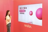 "혹시 모르니 얼려둘까"… 마리아병원, 난자냉동 팝업스토어