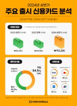 상반기 신용카드 평균 연회비 11만원...전년 比 36% 뛰었다