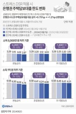 "한도 줄기 전에 주담대 신청하자" 스트레스DSR 막차효과 9월까지 이어진다