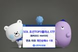 AI도 바이오도 아냐···올해 국내주식형 ETF 투자자 선택은