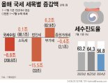 올해도 30조 이상 '세수펑크'…정부, 후폭풍 최소화에 고심