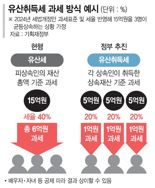 "유산세 대신 유산취득세... 내년 상반기에 법안 제출"