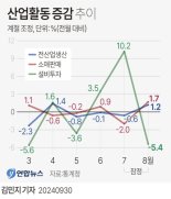 "8월 생산, 소비 개선은 일시적", 해외 IB 평가