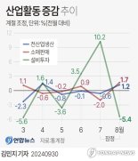 생산, 소비 반등에도 건설은 '냉랭'…내수회복세 '미미'