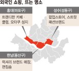 "한국 MZ 붐비는 성수·한남·홍대, 요즘 K쇼핑 필수코스죠" [돌아온 외국인, 달라진 K쇼핑 (下)]