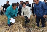 송미령 장관 "쌀 과잉생산 막을 산업 발전 근본대책 발표"