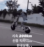 "명복을 빈다" 시속 200㎞ 킥보드 '눈살' [영상]