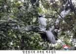 북한 "한국 무인기 잔해 평양서 발견"…"대꾸할 가치 없어"