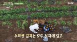 1824년 들여와 품종개량 거쳐 K감자로… 200년 역사의 땅 [이민부 교수의 지리로그]