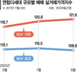 대출 죄자 실수요자 소형 연립 등 몰려