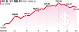 "설마 더 오르겠어?"… 달러 인버스·환헤지에 몰리는 개미들