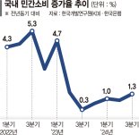 민간소비 증가율 '1%대'도 위태