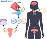 '40세 조기 폐경 여성' 노화 빠른 진행 "이것이 부족했구나"