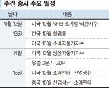 美 대선 후폭풍 안정화 기대... 낙폭 큰 車·반도체 반등노려 [주간 증시 전망]