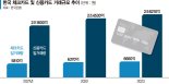 "신용카드·페이와 경쟁" 은행 예금토큰 결제시장 판도 흔드나['현금 없는 사회' 新디지털금융시대(中)]