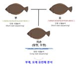 국립수산과학원, 넙치 유전체 지도 완성...양식 경쟁력 확보