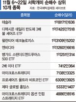 '트럼프 랠리' 올라타자… 테슬라·가상자산에 돈몰린다