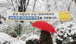 "단톡방에 불 났어요" 선도지구 선정에 쏟아진 축포