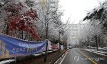 칠순 앞둔 아빠 "딸, 새 아파트 살고 싶다"...너도 나도 재건축[부동산 산책]