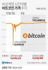 ‘비상계엄 후폭풍’ 가상자산 과세 2년 유예 등 불투명 [코인브리핑]