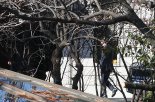 '尹의 통화내역'…계엄 직후 추경호·나경원 통화, 안가모임 멤버·유튜버와 소통