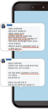 "계엄사태에 금감원서 자금조사"… 돈 입금 요구 속지마세요 [탄핵정국 후폭풍 불법 리딩방 경보]