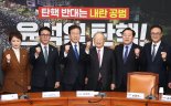 민주당 "재계와 핫라인 개설… 여야정 경제협의체 추진" [탄핵정국 후폭풍 '경제 챙기기' 나선 野]