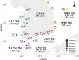 우리나라 연안 해수면 35년간 10.7㎝ 상승…매년 3.06㎜ ↑