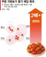 '지역 농가와 상생' 쿠팡, 국산 딸기 2600t 푼다