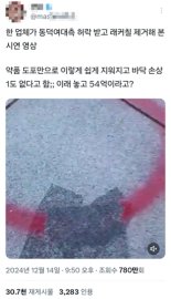 "진짜 54억원? 이렇게 쉽게 지워지는데?"..동덕여대 '래커칠' 복구 비용 논란