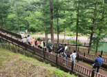 근로복지공단, 산재근로자 산림치유 프로그램 "높은 만족도"