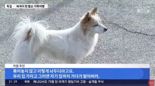 ''가족 9명이 참사..그 집엔 강아지만 우두커니" 마을 '울음바다' [제주항공 참사]