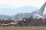 "마지막까지 할 수 있는 것 다 한 듯"…참사 여객기 기장 동료의 증언